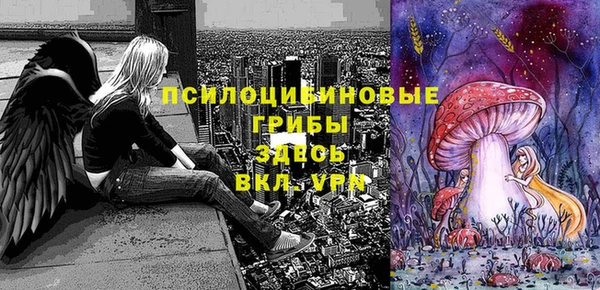 МДМА Сосновоборск