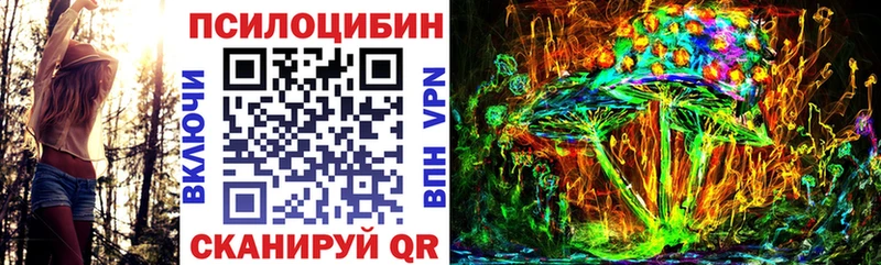 блэк спрут вход  где найти наркотики  Мичуринск  Псилоцибиновые грибы ЛСД 